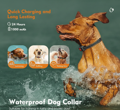 Freedom GPS Dog Fence System