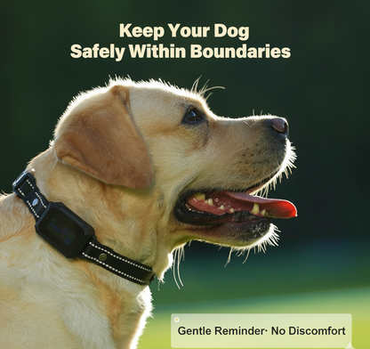 Freedom GPS Dog Fence System